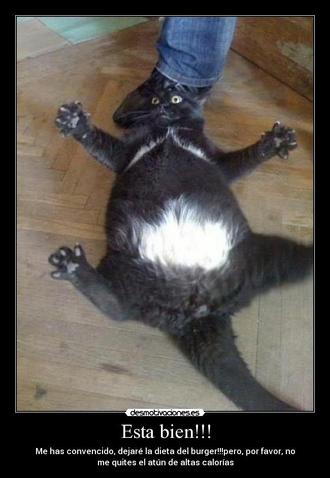 Esta bien!!! - Me has convencido, dejaré la dieta del burger!!!pero, por favor, no
me quites el atún de altas calorías