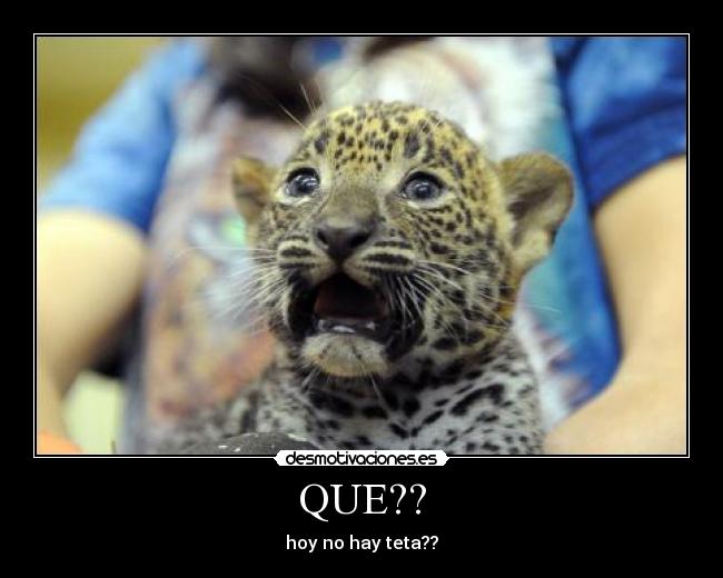 QUE?? - hoy no hay teta??