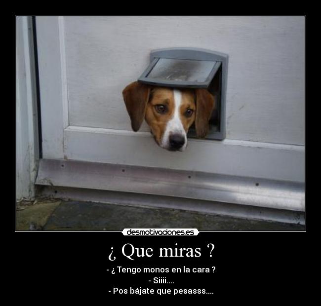 ¿ Que miras ? - - ¿ Tengo monos en la cara ?
- Siiii....
- Pos bájate que pesasss....