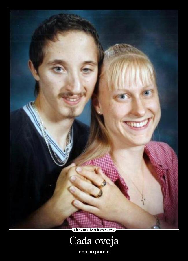 Cada oveja - con su pareja