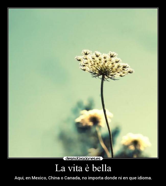 La vita è bella - Aqui, en Mexico, China o Canada, no importa donde ni en que idioma.
