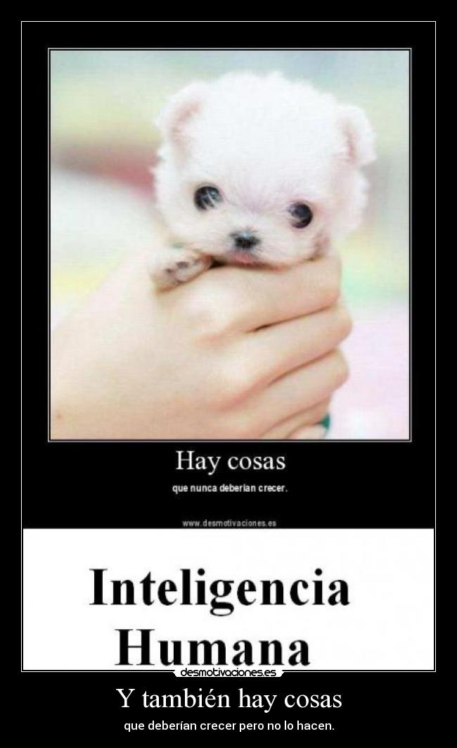 Y también hay cosas -