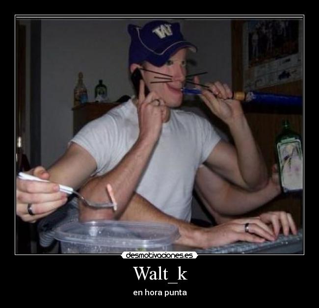 Walt_k -