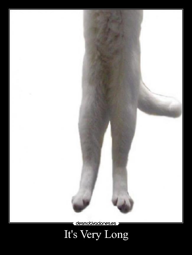 Its Very Long - 