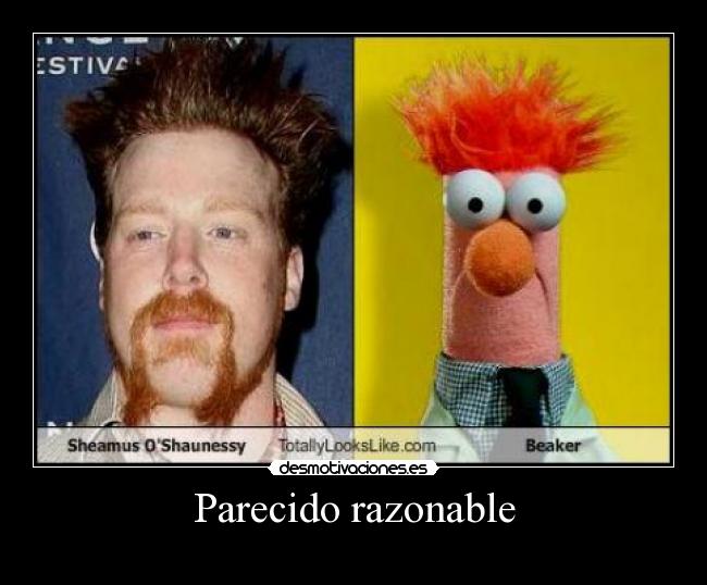 Parecido razonable -