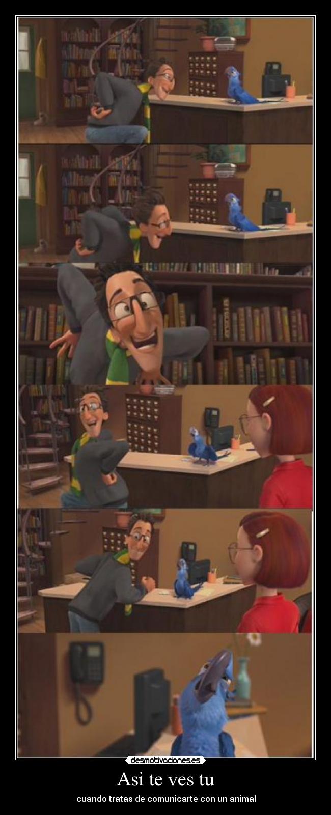 Asi te ves tu - cuando tratas de comunicarte con un animal