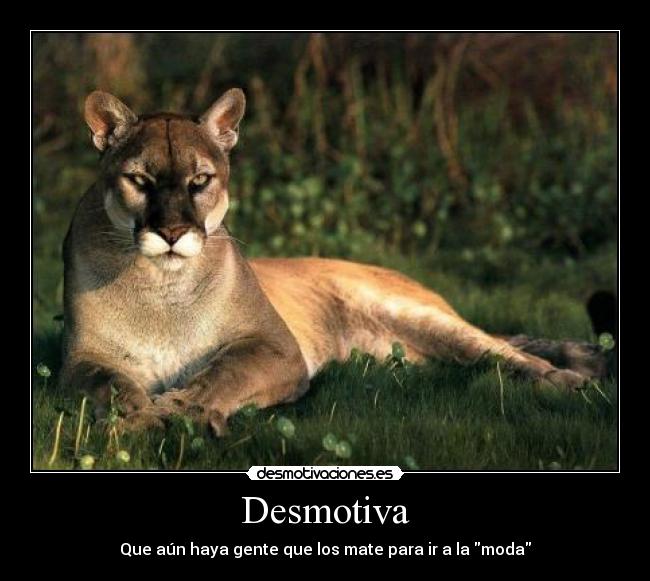 carteles  desmotivaciones