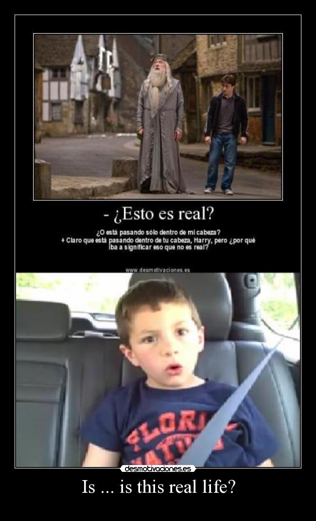 carteles vida realharry potter desmotivaciones