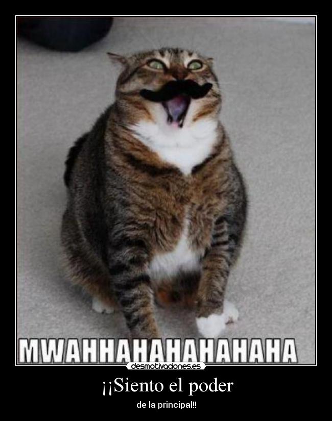 ¡¡Siento el poder -