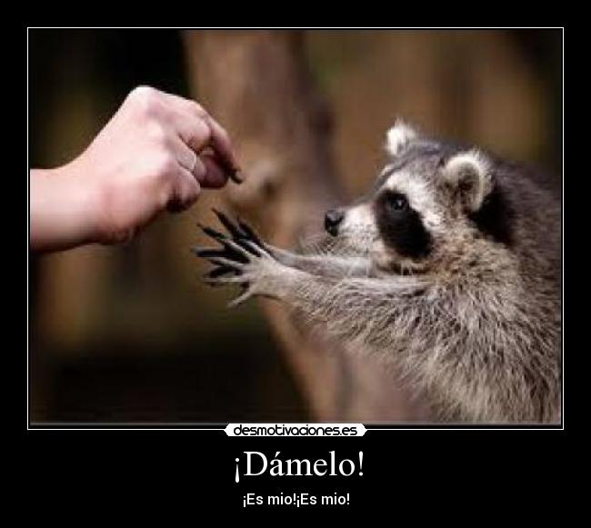 ¡Dámelo! - 