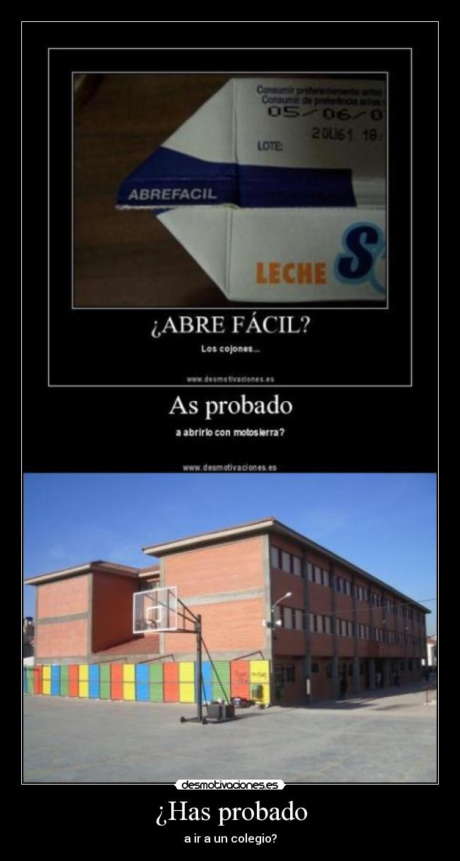 ¿Has probado - a ir a un colegio?
