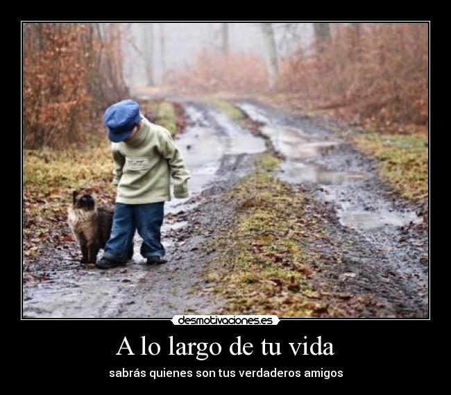 A lo largo de tu vida - 