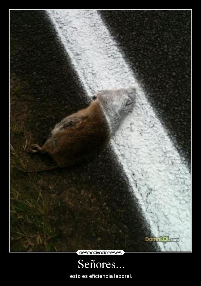 Señores... - esto es eficiencia laboral.