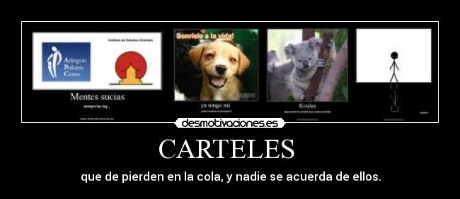 CARTELES  - 