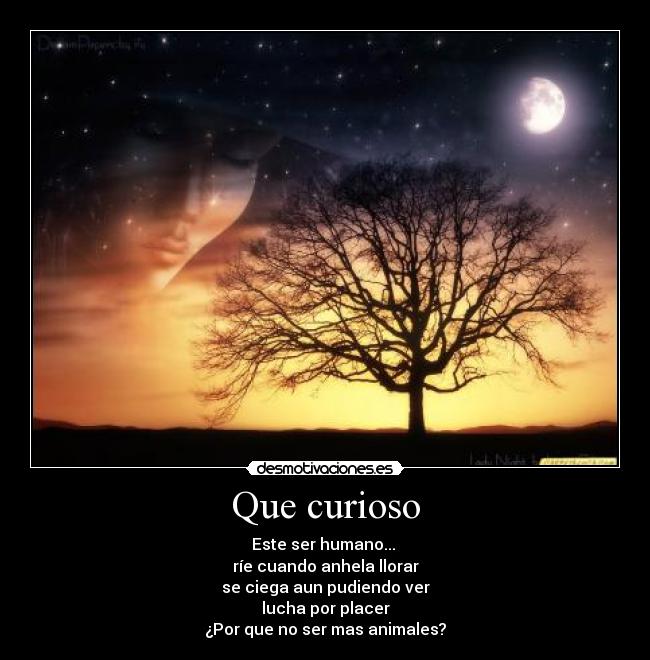 carteles daphne_94 desmotivaciones