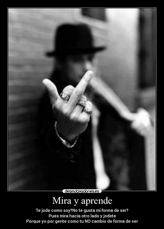 Mira y aprende - 