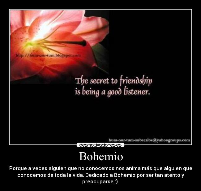 Bohemio - 