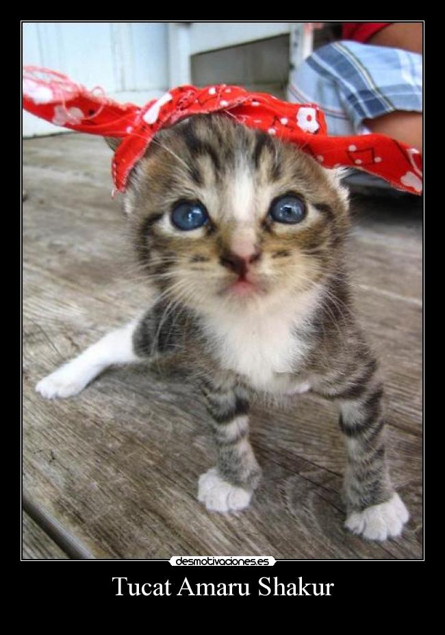 Tucat Amaru Shakur -