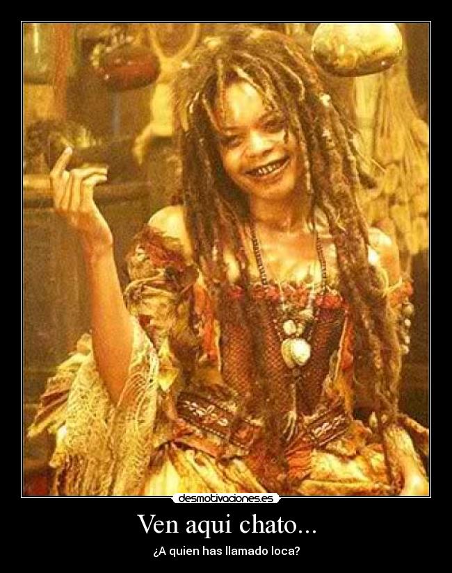 Ven aqui chato... -