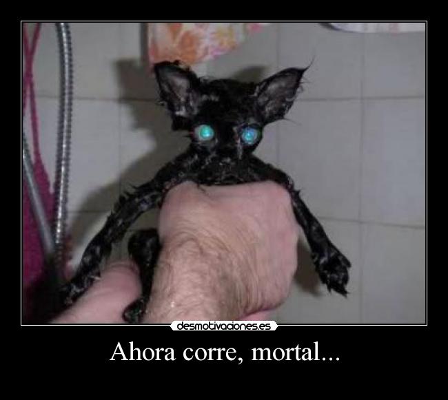 Ahora corre, mortal... -