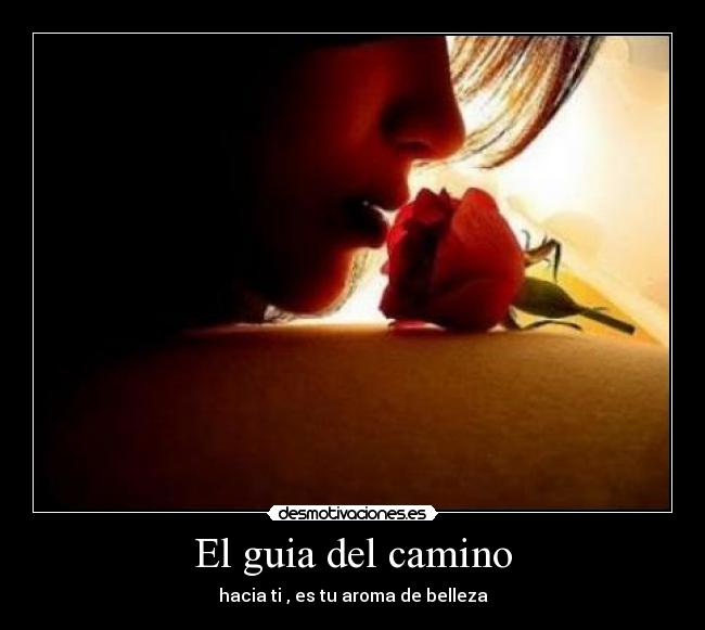 El guia del camino - hacia ti , es tu aroma de belleza
