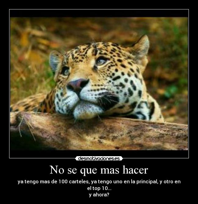 No se que mas hacer - 