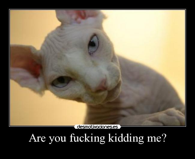 Are you fucking kidding me? -