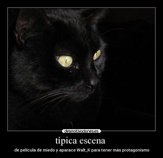 típica escena -