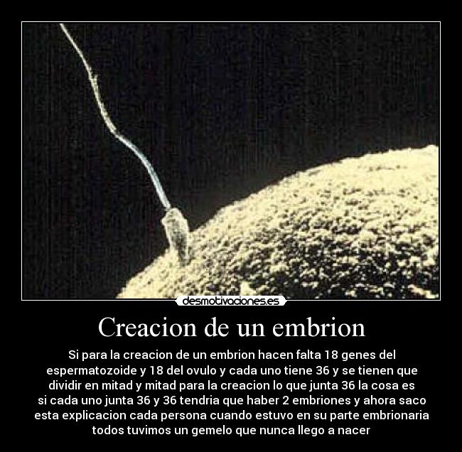 carteles creacion embrion nacer desmotivaciones