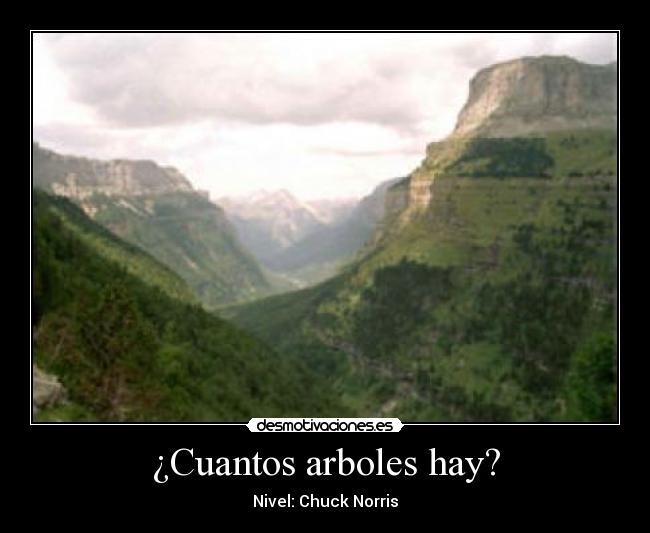 ¿Cuantos arboles hay? - 