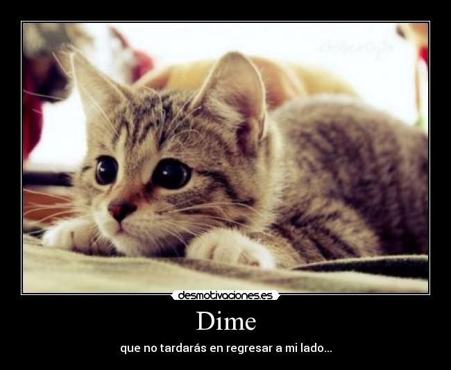 Dime - 