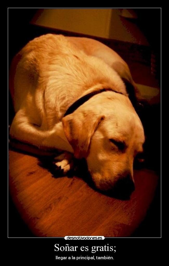 Soñar es gratis; - llegar a la principal, también.