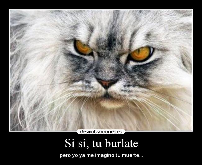 Si si, tu burlate - pero yo ya me imagino tu muerte...