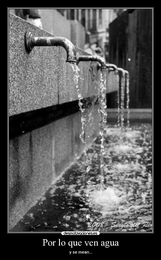 Por lo que ven agua - y se mean...