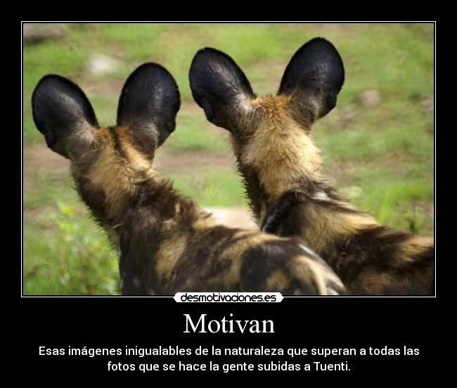 Motivan - Esas imágenes inigualables de la naturaleza que superan a todas las
fotos que se hace la gente subidas a Tuenti.