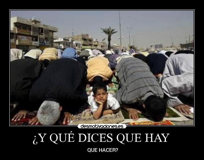 ¿Y QUÉ DICES QUE HAY -