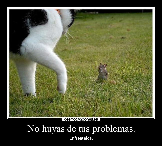 No huyas de tus problemas. -