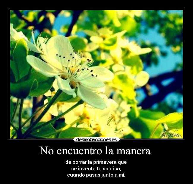 No encuentro la manera  - 