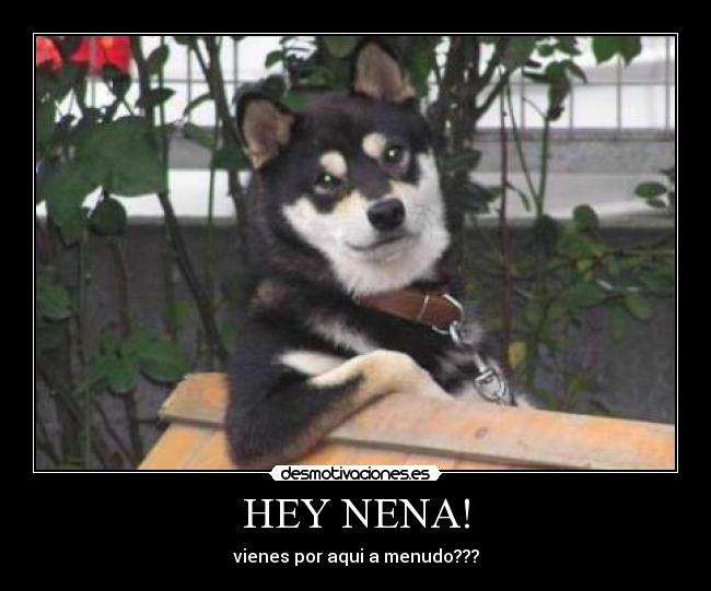 HEY NENA! - 