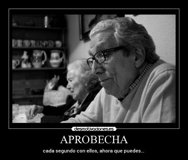 APROBECHA - 