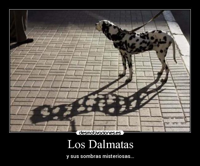 Los Dalmatas -