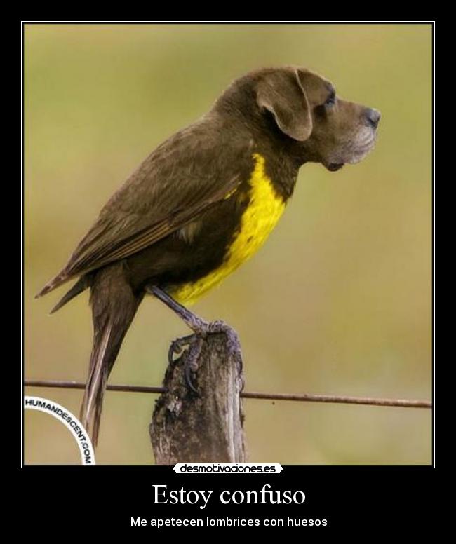 Estoy confuso - Me apetecen lombrices con huesos