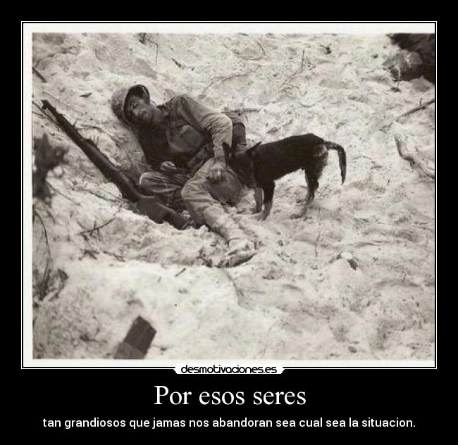 Por esos seres -