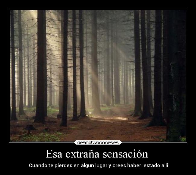 Esa extraña sensación -