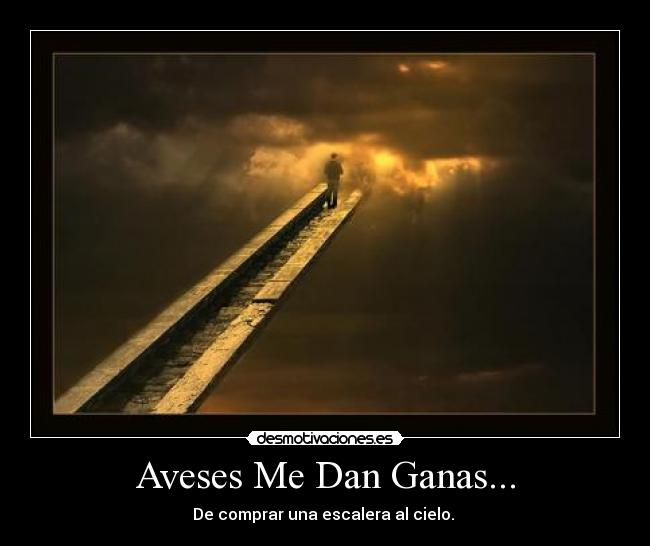Aveses Me Dan Ganas... - De comprar una escalera al cielo.