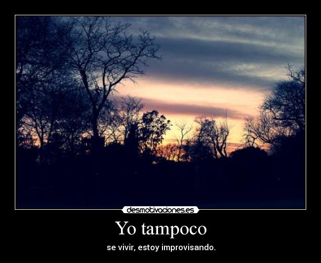Yo tampoco -