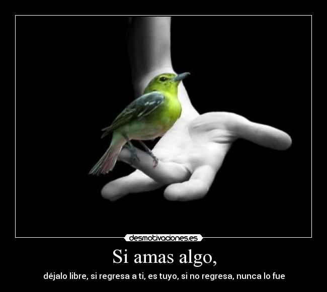 Si amas algo, - déjalo libre, si regresa a ti, es tuyo, si no regresa, nunca lo fue