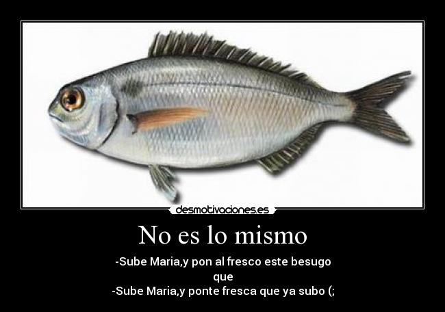 No es lo mismo - -Sube Maria,y pon al fresco este besugo
que
-Sube Maria,y ponte fresca que ya subo (;