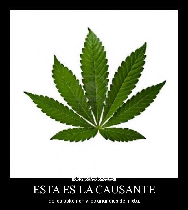 ESTA ES LA CAUSANTE - 