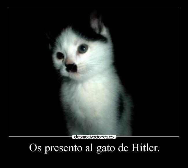 Os presento al gato de Hitler. - 